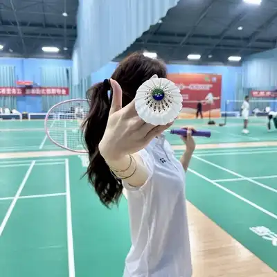 史翔怡